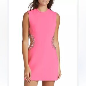 🆕 A.L.C. Skye crystal cut-out mini dress